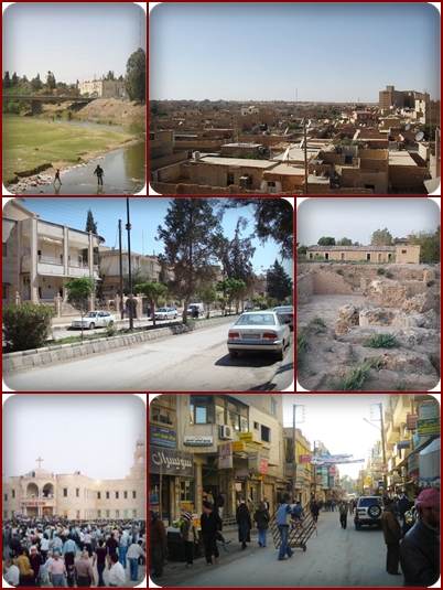 Al-Hasakah Collage