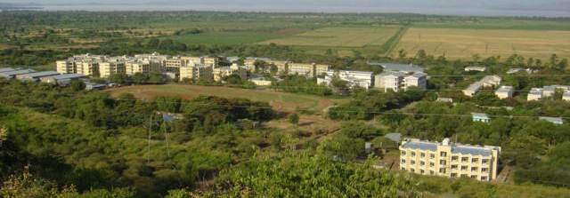 Skyline view of AMU1