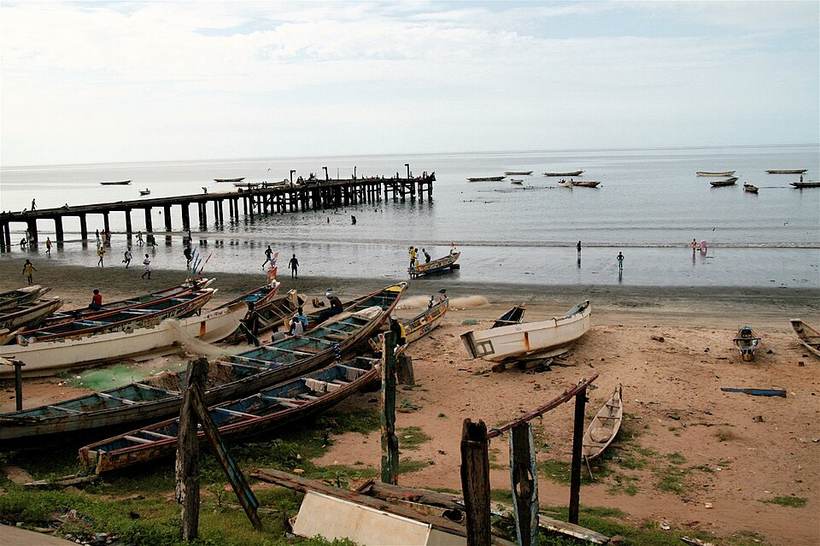Bakau 0001