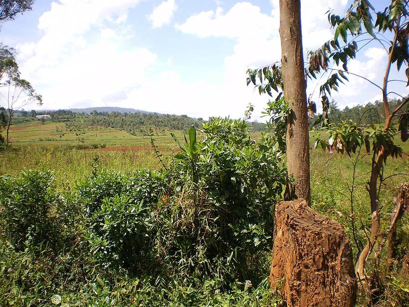 Nature In Kayanza