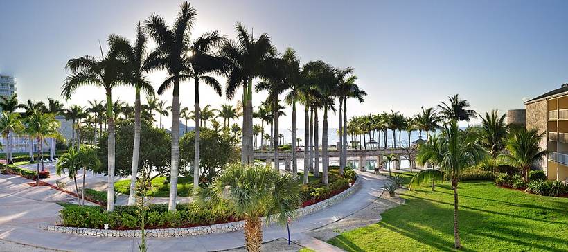 Sheraton Grand Bahamas Panorama