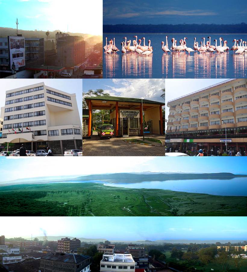 Nakuru montage