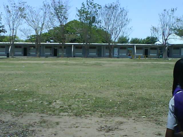 AscotHighlawn