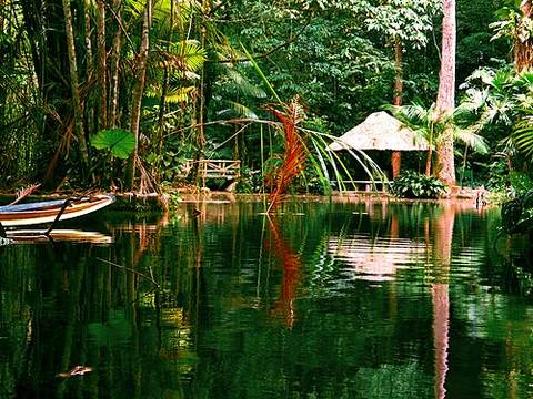 Bosque Rodrigues Alves