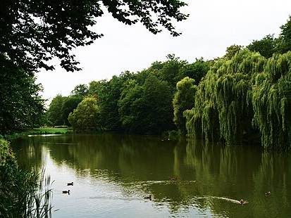 Orunia Park