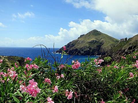 Cove Bay