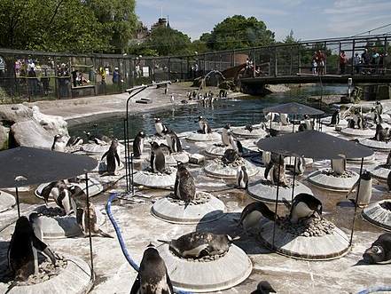 Edinburgh Zoo
