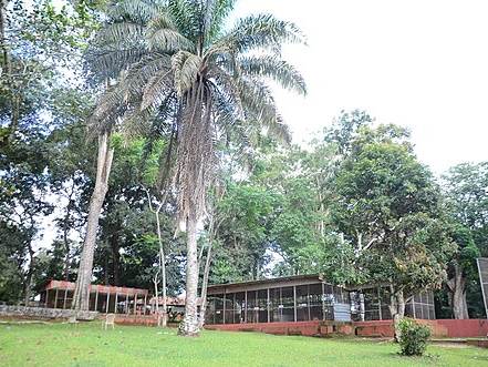 Ogba Zoo & Nature Park