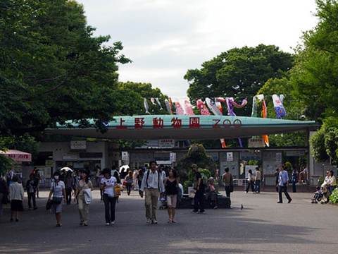 Ueno Zoo