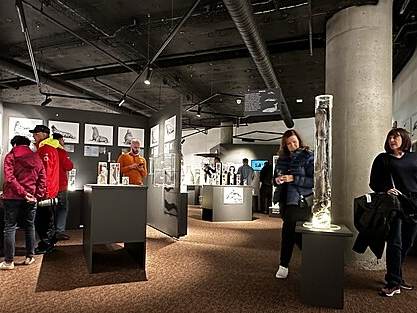 Icelandic Phallological Museum