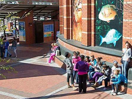 Two Oceans Aquarium