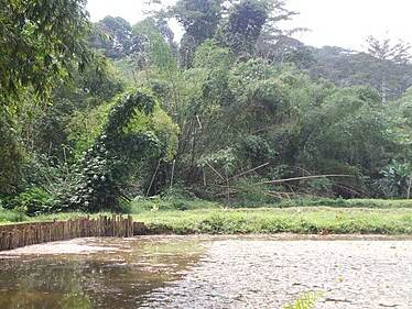 Banco National Park