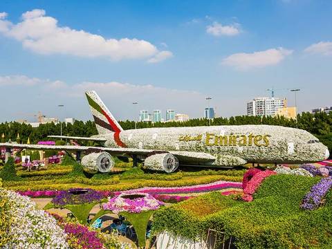Dubai Miracle Garden