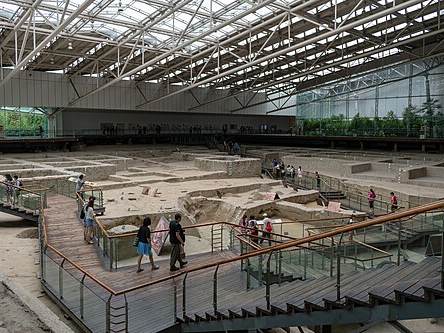 Jinsha site