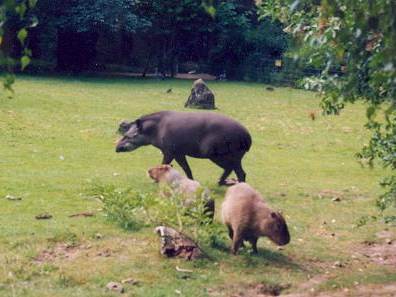Zoo Dortmund