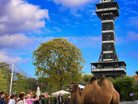 Copenhagen Zoo
