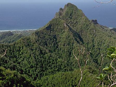 Ikurangi