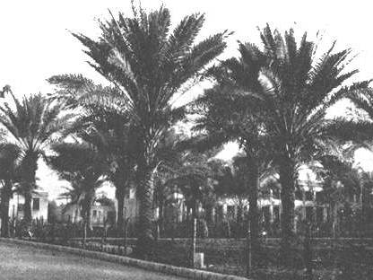 Garden of Ridván