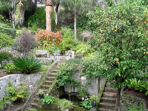 Gibraltar Botanic Gardens