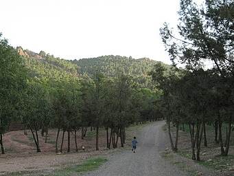 Jbel Hamra