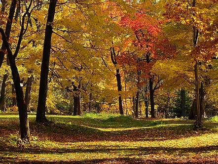 Hokkaido University Botanical Gardens