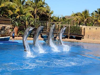 uShaka Marine World