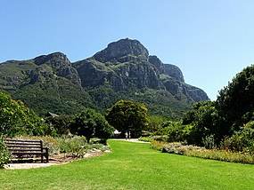 Kirstenbosch National Botanical Garden