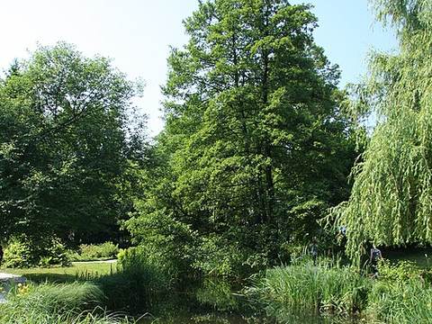 Ljubljana Botanical Garden