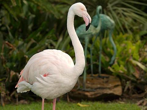 Adelaide Zoo