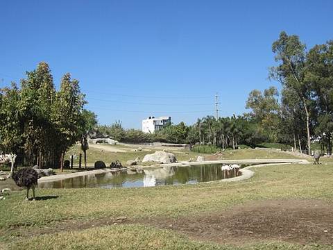Guadalajara Zoo
