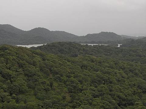 Tulsi Lake