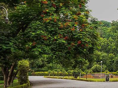 Bagh-e-Jinnah