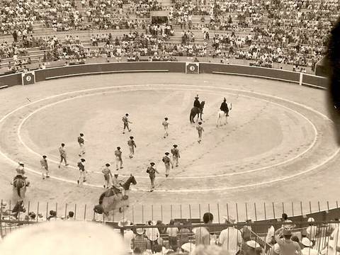 Plaza de toros Monumental de Valencia