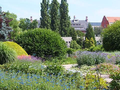 Wrocław University Botanical Garden