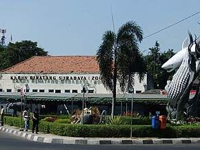 Surabaya Zoo