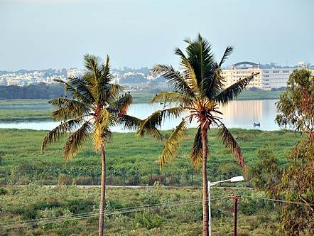 Bellandur Lake