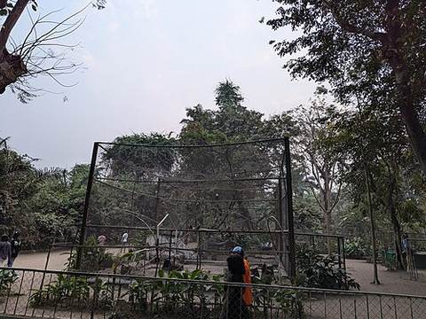 Brazzaville Zoo