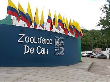 Cali Zoo