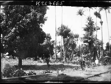 Conakry Botanical Garden