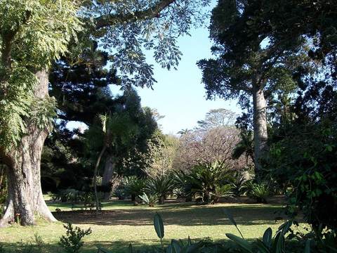 Durban Botanic Gardens