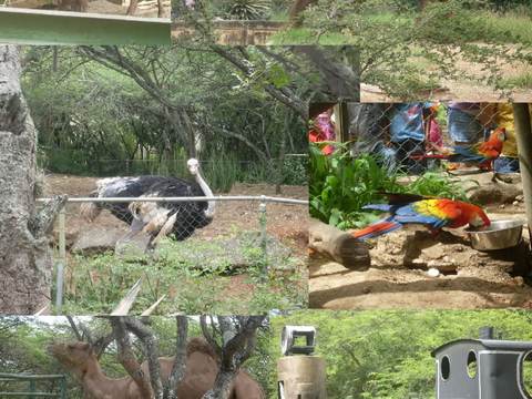 Bararida Zoological and Botanical Park