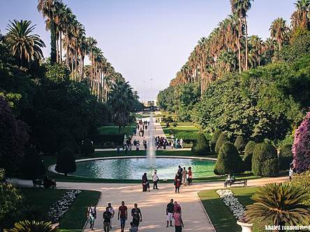 Botanical Garden of Hamma