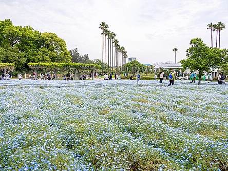 Nagai Botanical Garden