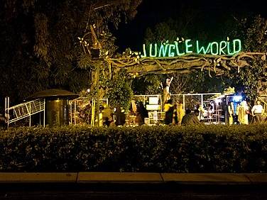 Jungle World