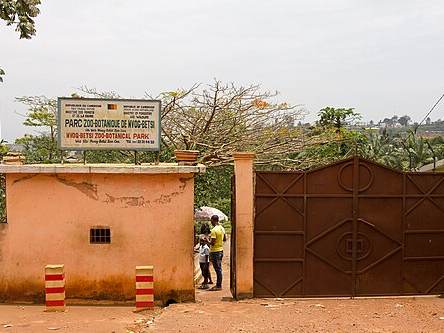 Mvog-Betsi Zoo