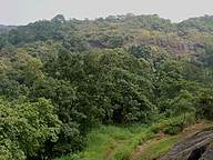 Sanjay Gandhi National Park