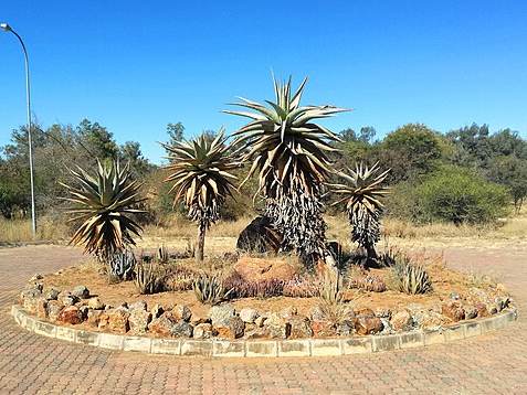 National Botanical Garden