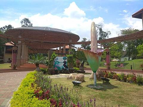 National Botanical Garden Shah Alam