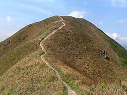 Tai To Yan