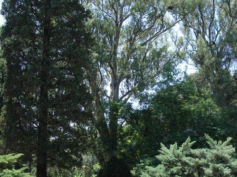 Sarmiento Park